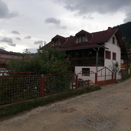 Casa Cozorici 호텔 사도바 외부 사진