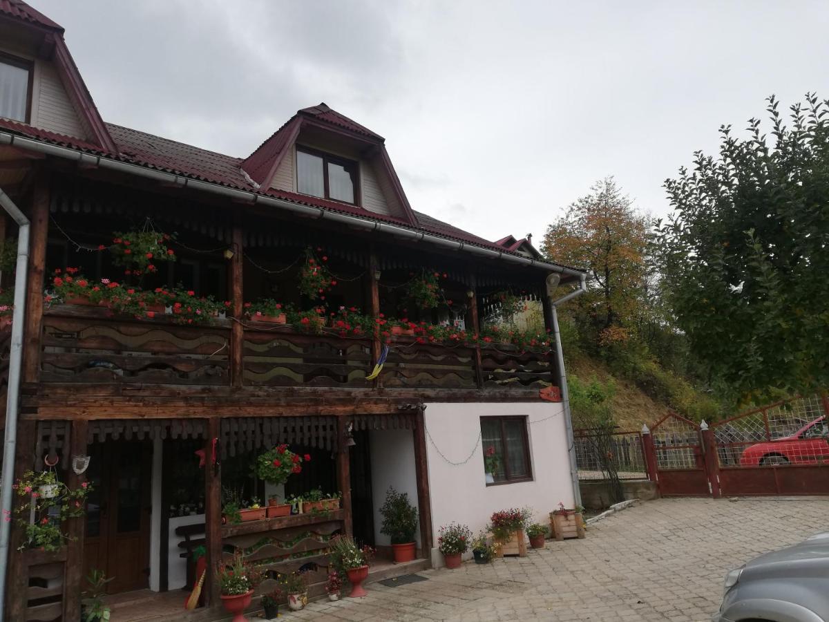 Casa Cozorici 호텔 사도바 외부 사진