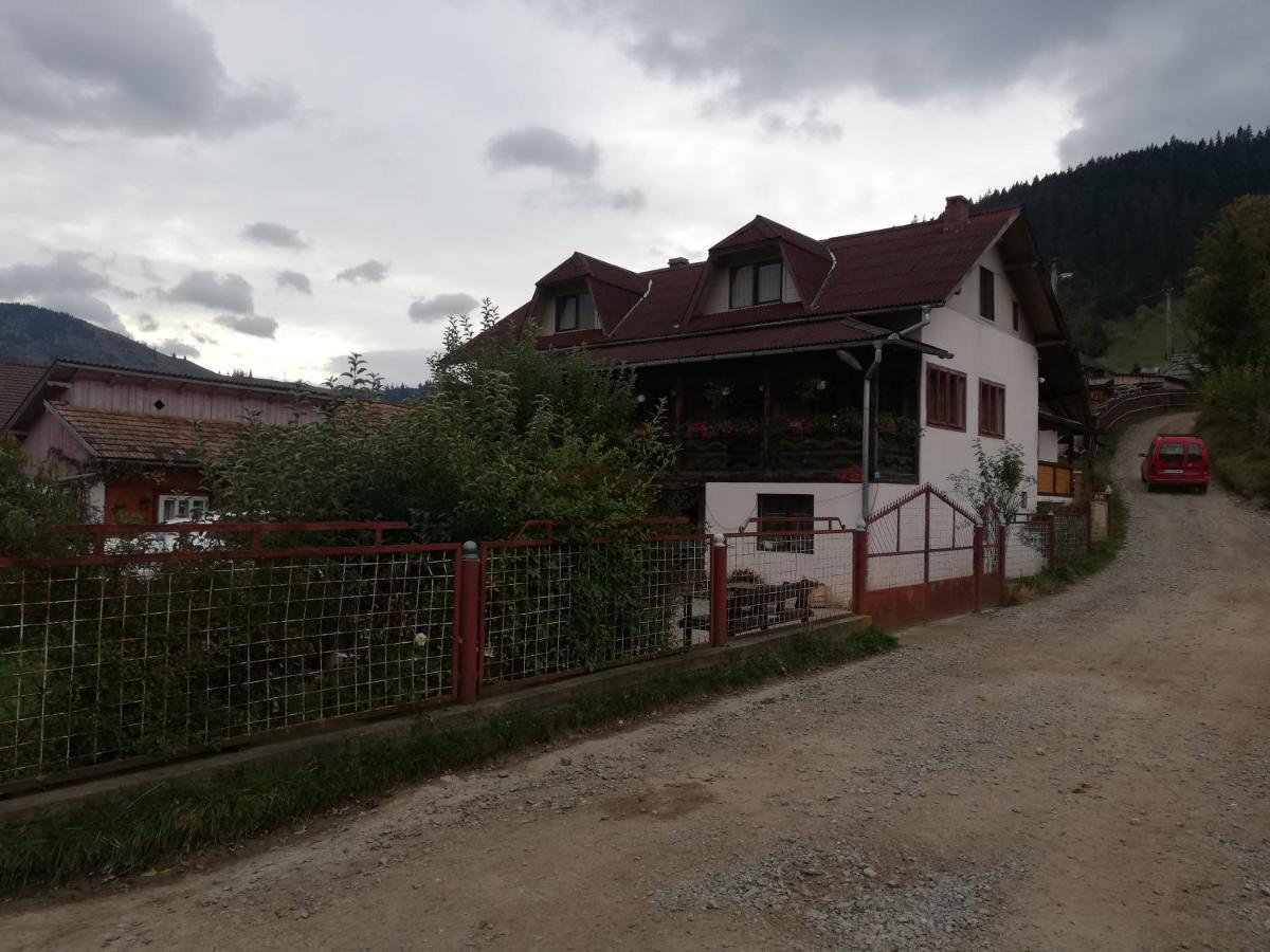 Casa Cozorici 호텔 사도바 외부 사진