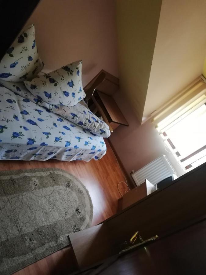 Casa Cozorici 호텔 사도바 외부 사진