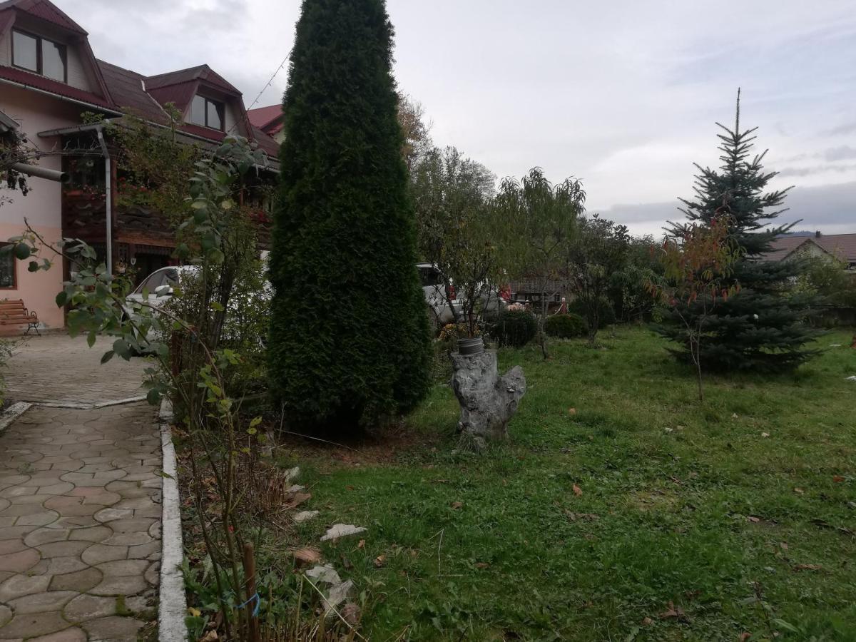 Casa Cozorici 호텔 사도바 외부 사진